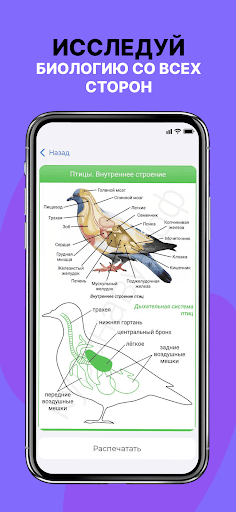Биология ЕГЭ 2026