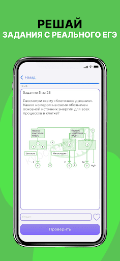 Биология ЕГЭ 2026