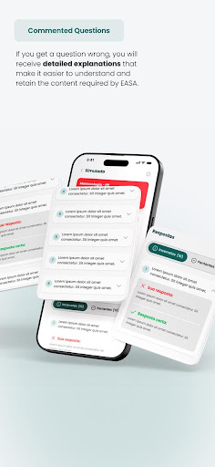 Aero Assessment - EASA