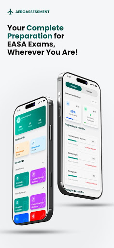 Aero Assessment - EASA