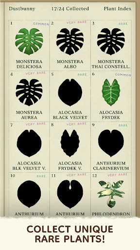 Dustbunny: Emotions to Plants Dustbunny: Emotions to Plants